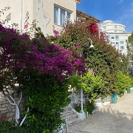 Superior Private At The In * Sarande