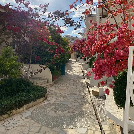 Superior Private At The In Sarande